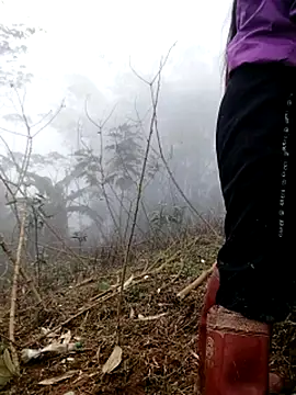 Tina-beo online show from March 21, 2026, 8:19 am