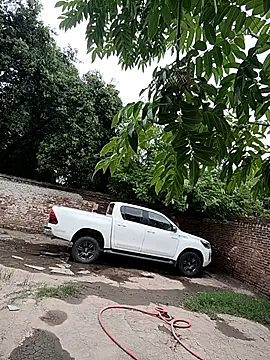 Snapshot of leo85rf chatting on February 5, 2026, 7:18 pm leo85rf online show from February 5, 2026, 7:18 pm