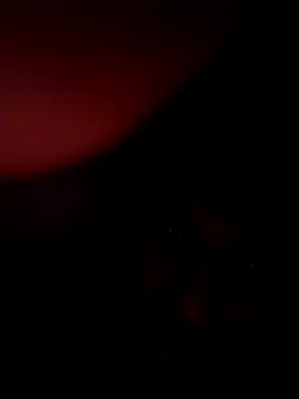 Snapshot of Stuart45677 chatting on April 9, 2026, 9:53 pm Stuart45677 online show from April 9, 2026, 9:53 pm