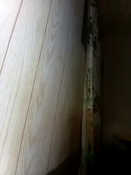 Snapshot of Prikev38452 chatting on February 12, 2026, 7:36 am Prikev38452 online show from February 12, 2026, 7:36 am