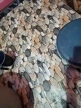 Snapshot of tamilpaiyan989 chatting on April 5, 2026, 2:53 am tamilpaiyan989 online show from April 5, 2026, 2:53 am