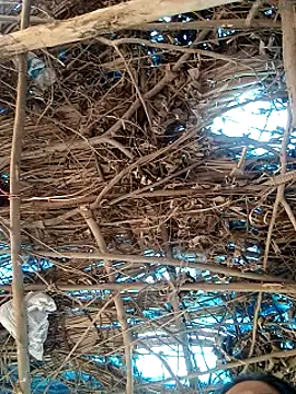 Rajni248096 online show from March 12, 2026, 7:58 am