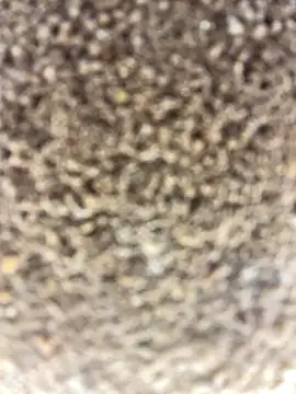 Snapshot of Namipeitudinha chatting on February 16, 2026, 4:58 pm Namipeitudinha online show from February 16, 2026, 4:58 pm