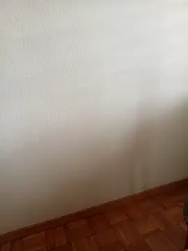 Snapshot of baipal74 chatting on February 19, 2026, 12:45 pm baipal74 online show from February 19, 2026, 12:45 pm