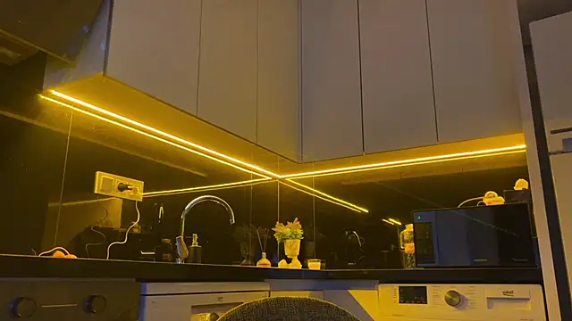 Snapshot of BlackFox_V chatting on March 1, 2026, 7:16 pm BlackFox V online show from March 1, 2026, 7:16 pm