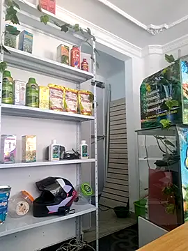 Tatianna Loove  online show from March 14, 2026, 2:55 pm