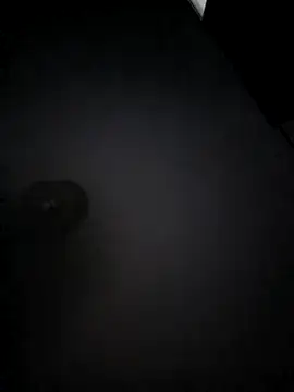 Snapshot of franc_300 chatting on April 16, 2026, 12:00 am franc 300 online show from April 16, 2026, 12:00 am