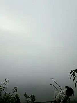 sushi-asa online show from March 7, 2026, 12:51 am