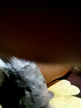 SexfreakN22 online show from February 11, 2026, 8:36 pm