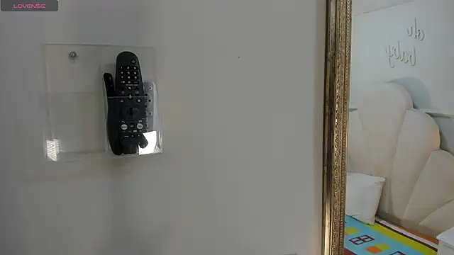 Snapshot of Haileysans chatting on February 11, 2026, 11:37 am Haileysans online show from February 11, 2026, 11:37 am