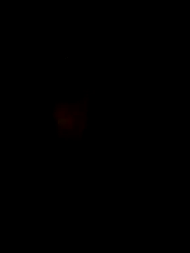 S7LEALTADPERVLIMA7 online show from April 12, 2026, 5:01 am