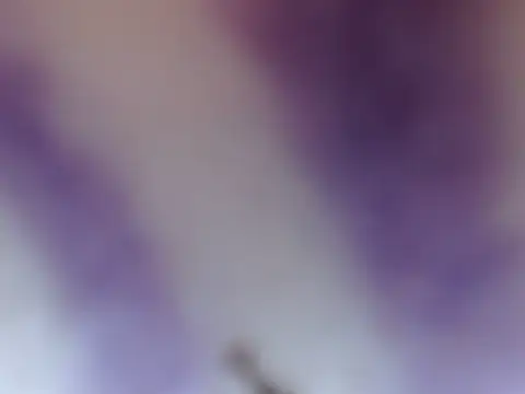 ELIZA 01 online show from February 8, 2026, 4:38 am