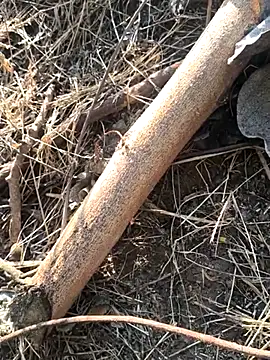 Vinita cuty online show from February 9, 2026, 4:16 am