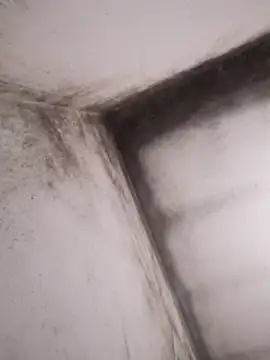 Lamich online show from February 13, 2026, 9:33 pm