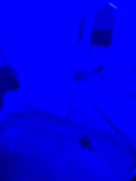 Snapshot of bojo69 chatting on February 13, 2026, 12:12 pm bojo69 online show from February 13, 2026, 12:12 pm