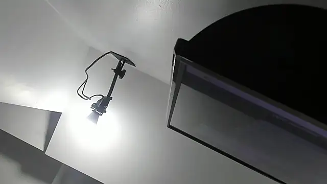 kate morgann online show from April 1, 2026, 8:17 pm