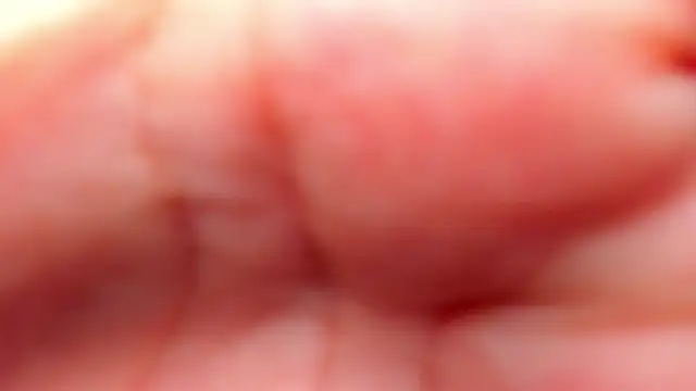 Snapshot of RinaFox__ chatting on February 21, 2026, 1:17 am RinaFox online show from February 21, 2026, 1:17 am