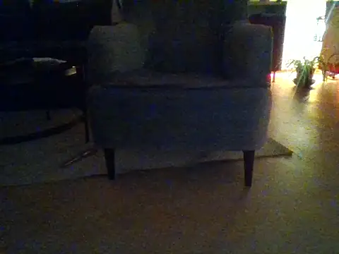 Snapshot of Tommyzzzzzz chatting on February 20, 2026, 9:04 pm Tommyzzzzzz online show from February 20, 2026, 9:04 pm