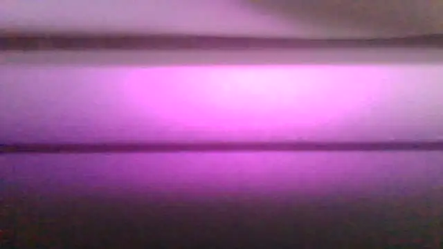 kaimsdecadus555 online show from February 12, 2026, 11:55 pm