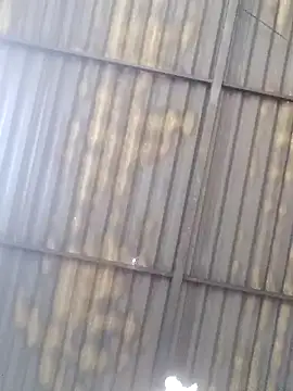 Linka998 online show from March 27, 2026, 4:40 am