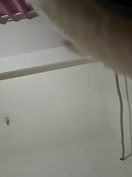 Chery mup online show from March 26, 2026, 5:51 pm