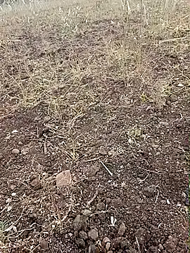 yusu 3 online show from February 23, 2026, 11:40 am