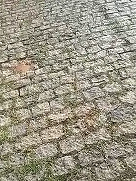 DiamanteNegro90 online show from April 7, 2026, 11:43 am