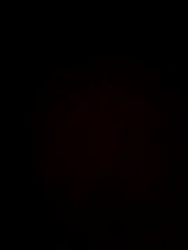 plump-bums online show from February 16, 2026, 12:56 pm