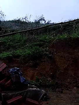 lovely-742 online show from March 12, 2026, 2:07 am