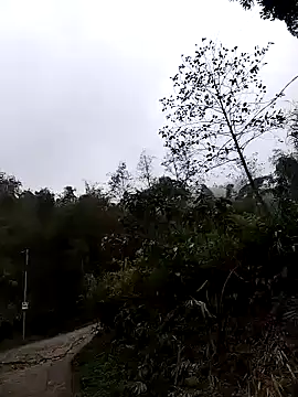 Snapshot of lovely-742 chatting on March 24, 2026, 1:54 am lovely-742 online show from March 24, 2026, 1:54 am