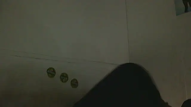 pbilip7787 online show from February 25, 2026, 9:46 pm