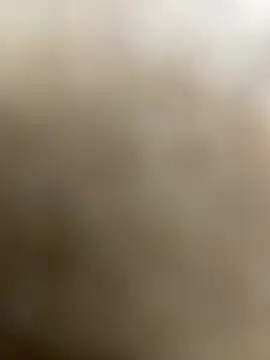 Snapshot of lopes22246 chatting on February 15, 2026, 11:23 pm lopes22246 online show from February 15, 2026, 11:23 pm