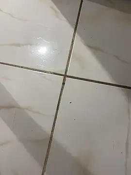 Snapshot of lopes22246 chatting on February 19, 2026, 12:06 am lopes22246 online show from February 19, 2026, 12:06 am