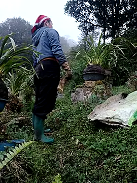 nelina 12345 online show from February 13, 2026, 10:44 am