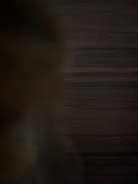 safadinhaputinha69 online show from April 23, 2026, 12:51 pm