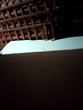 Snapshot of mykasantos20 chatting on February 14, 2026, 4:53 am mykasantos20 online show from February 14, 2026, 4:53 am