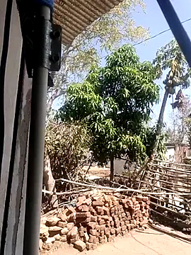 taniya0 online show from March 13, 2026, 6:31 am