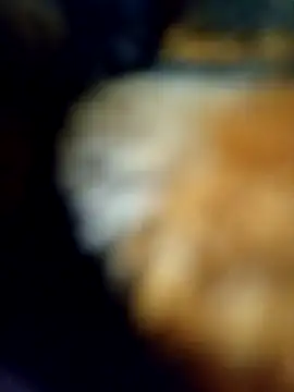 Snapshot of Avinh_09 chatting on February 15, 2026, 5:20 pm Avinh 09 online show from February 15, 2026, 5:20 pm