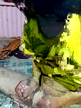 Snapshot of mimpake chatting on April 2, 2026, 10:24 am mimpake online show from April 2, 2026, 10:24 am