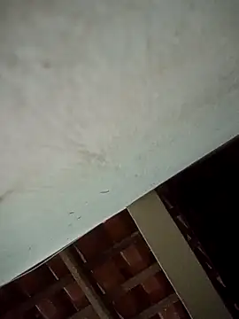 euchapo99 online show from April 4, 2026, 5:49 am