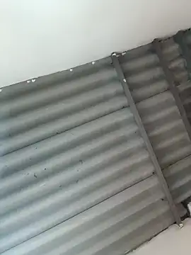 Snapshot of Little-Pussy19 chatting on February 24, 2026, 3:43 pm Little-Pussy19 online show from February 24, 2026, 3:43 pm