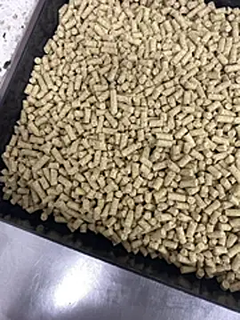 Snapshot of Elmanc chatting on February 26, 2026, 8:19 pm Elmanc online show from February 26, 2026, 8:19 pm