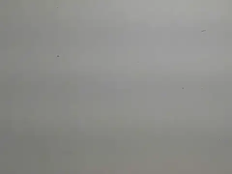 risu 00 online show from March 6, 2026, 3:30 pm