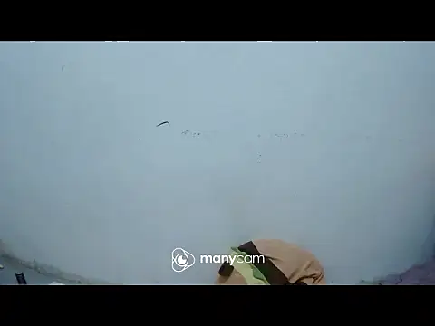 exotic girl69x online show from March 4, 2026, 2:45 pm