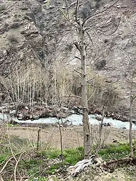 TurkeyMen online show from April 8, 2026, 9:09 am