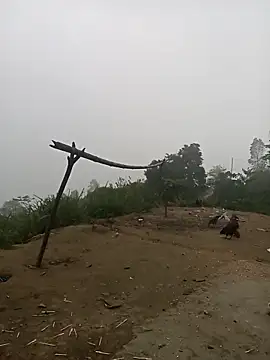 Nth5h online show from March 30, 2026, 10:55 pm