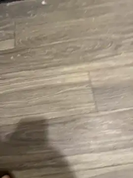 SavorredEscapist online show from February 26, 2026, 6:45 am