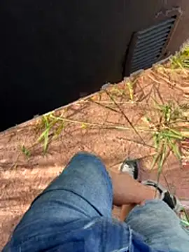 boladeouro126 online show from April 14, 2026, 5:41 pm