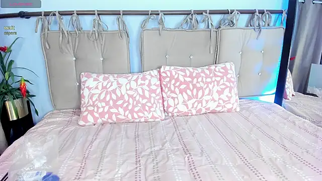 aurora wander online show from February 24, 2026, 12:47 pm