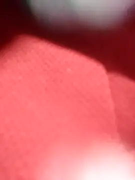 Snapshot of jackkk0011 chatting on February 26, 2026, 12:48 pm jackkk0011 online show from February 26, 2026, 12:48 pm